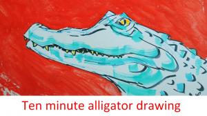 The Sunday Art Show - Ten Minute Alligator Drawing 